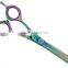 SALON PROFESSIONAL 6inch Hair Thinning Scissors