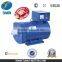 Manufacturer ST 2kw Alternator With Brush