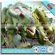 Dinosaur coin ride fairground ride for sale