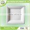 Disposable tableware bio-degradable paper or sugarcane 9" Round Plates