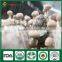Wholesale Factory Price China Supplier Organic Shiitake Mushroom Growing Kits Bag