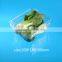 PET plastic transparent VEGETABLE AND FRUIT packaging box with lid