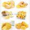 High Quality Fresh Potato Chips Plant