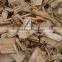 Eucalyptus wood chips Viet Nam