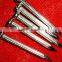 oval head Galvanized Concrete Nails
