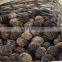 Natural Walnut Unshelled, Walnut In Shell Sale