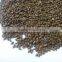 High Quality Cassia Semen/Cassia Tora Seeds in India - CTS