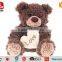Plush Teddy Bear Soft Bear Chubby Bear Valentine's Gift Love Bear
