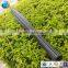 professional production of fish barrels 10 years high quality carbon fiber spearfish tube