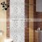 SMS15 Glass mixed stainless steel mosaic White glass mosaic Bar decorate mosaic