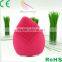 Sunray Refillable makeup brush Acne Treatment