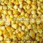 Frozen IQF frozen sweet corn