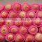 2015 new season corp fresh fruit fuji apple wholesale for exporting