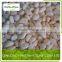 Chinese White Frozen Garlic