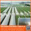 hot selling 100 , 150 , 200 micron agricultural uv protection blue plastic greenhouse film , pe plastic protective film