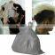 Top grade Professional Dust-free White/Blue powder for hair dye,containing nourishing essence