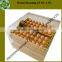Capacity 96 eggs Transparent Automatic Digital Egg Hatching Machine for Promotion