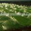 Lawn Irrigation System
