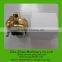 Milk Cluster for Mobile Cow Milking Machine