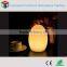 rechargeable battery powered led decorative table lamps