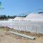 Various agricultural multi span polycarbonate greenhouse
