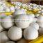 scent wool dryer ball