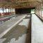 China Chicken Cage factory offer Good Quality Poultry Equipment--Demeter Machinery