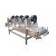 China Hot Sale RunxiangJujube Slice Production Line On Sale