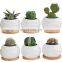 Best Selling Unique Indoor Circle European Mini Home Garden Decor Artificial Flower Decorations Pots Pineapple Shape Planter