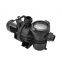 PIKES Pump Factory Supply Self Priming Swimming Pool Circulation Water Pump With Handle