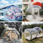 Transparent Inflatable Bubble House for Outdoor Using with Full Sets of Accessories and Balloons