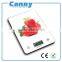 water transfer printing kitchen scale scales for food and vegetable