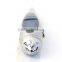 Laser Pointer WAV Format Voice Pen with LCD Screen F6