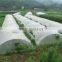 UV Protection 100% Virgin PVC 200 Microns Greenhouse Film