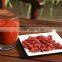 fresh goji berries-best selling christmas gifts 2016