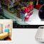 720P HD Wireless IP camera with APP conctrol / P2P CCTV carmera