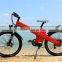 Seagull 36v e-bike battery water bottle battery pack