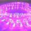 JCL LED Rope Light ,LED Strip Light,LED Panel Light with CE, GS, Rohs more than 8 years