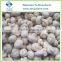 Frozen Button Mushroom Whole and Slices