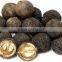 Natural Walnut Unshelled, Walnut In Shell Sale