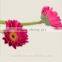 Professional export fresh rose roses flowers with 70-80cm long from Yunnan, China