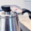 stainless steel japanese tea kettle, tea kettle