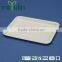 Disposable 100% biodegradable fruit tray