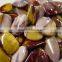 mookaite mookaite stone