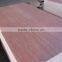 Okoume/Bintangor plywood for packing use