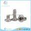 china product stainless steel self tapping screw wholesale