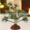 The Best Living Room Decoration For Busy Christmas Festival With Natural Green Mini Christmas Tree