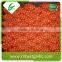China cheap onion price
