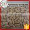 Bulk organic roasted peanut in shell for sale