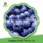 China high quality sweet delicious bulk IQF frozen blueberry prices